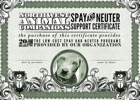 Spay and Neuter certificate by Clae Spratt at Coroflot.com