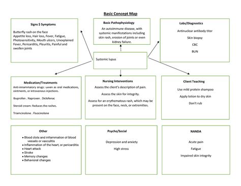 Basic Concept Map Lupus Basic Concept Map Butterfly Rash On The Face