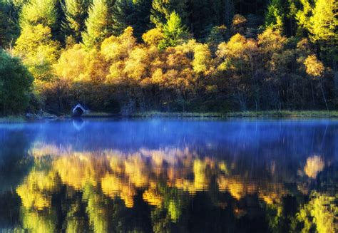 Free Images Landscape Tree Nature Forest Branch Sunset Mist