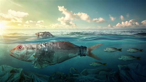 100 Ocean Pollution Statistics And Facts 2020 2021