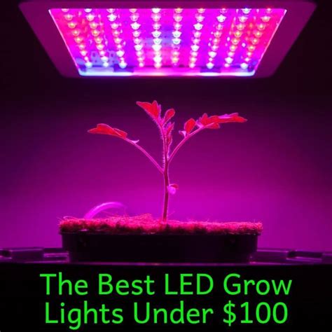 Maybe you would like to learn more about one of these? Best LED Grow Lights Under $100 (Updated Jan 2021) - Grow ...