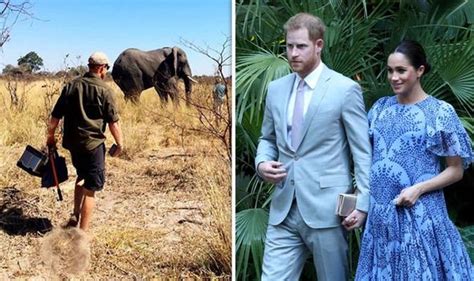 meghan markle and prince harry release never before seen pics of romantic trip to africa royal