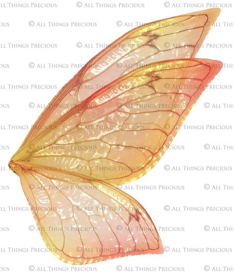 Printable Fairy Wings Set 2 Print Pattern Template Clipart Etsy