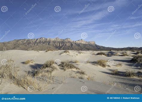 Salt Basin Dunes In Guadalupe Mountains National Park Stock Image