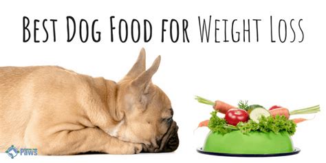 2023s Best Weight Loss Dog Foods For Your Overweight Dog