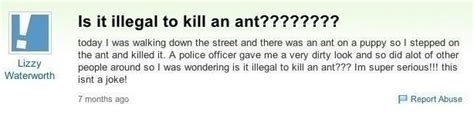 27 Dumb Questions Ever Asked On Yahoo Answers