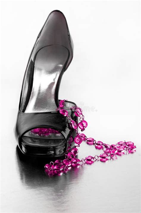 Fashion Shoe Stock Image Image Of Rear Elegance Back 7981087