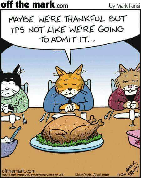 Cat Thanksgiving Cat Jokes Funny Cat Memes Funny Cartoons Funny Cats