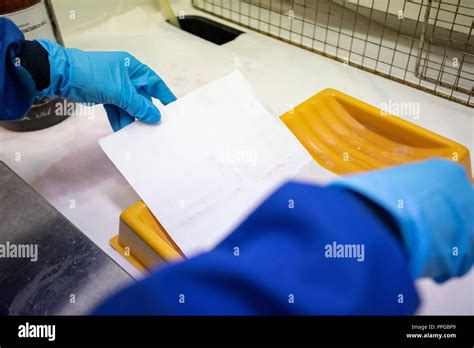 Forensic Laboratory Officer Examining Porous Paper For Latent