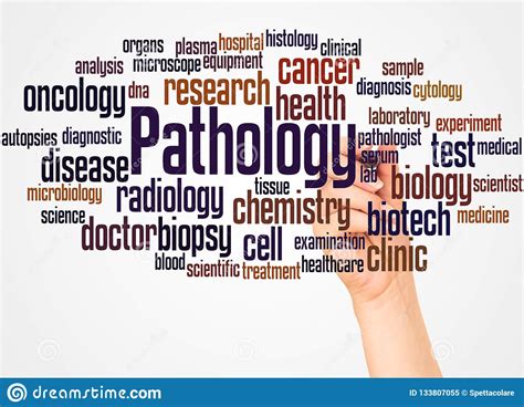 Pathology Word Cloud And Hand With Marker Concept Stock Illustration