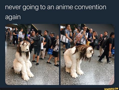 Memes And More Things Never Going To An Anime Convention Again Ifunny