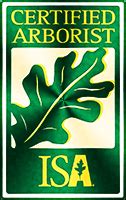 This certification is recognized world wide and provides consumers with a high degree of confidence that their arborist is knowledgeable about trees. ISA Certified Arborists - Tree Service Express