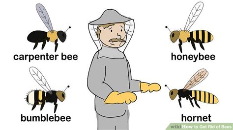 Bees are very important to the ecosystem, but unfortunately, when there is a beehive in or around your home, it poses a danger to you and your family. How to get rid of bumble bees around the house ...