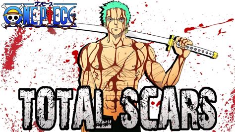 Roronoa Zoro Total Scars One Piece Youtube