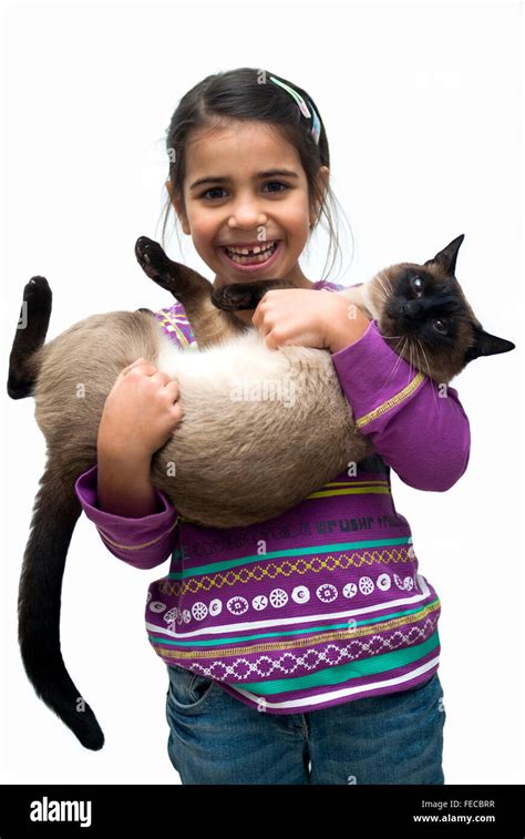 Little Girl With Siamese Cat Stock Photo Alamy