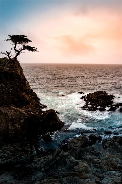 Lone Cypress Pebble Beach The Best Beaches In The World