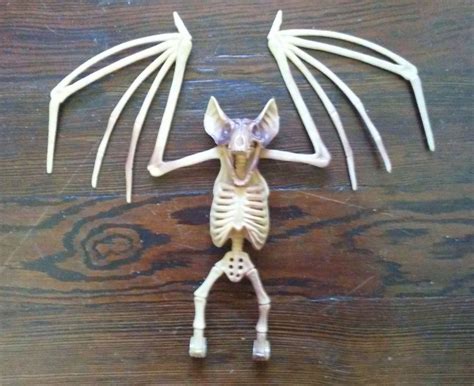 Skeleton Vampire Bat Poseable Wings Hanging Bones Halloween Etsy