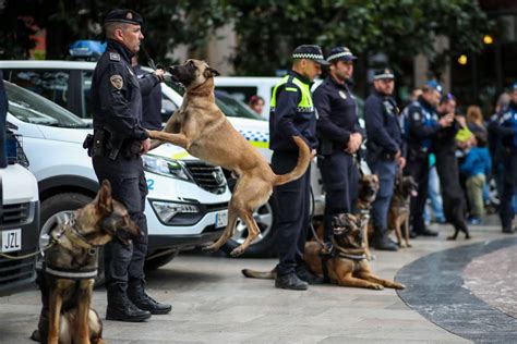 Perros Policías ¿cuáles Son Las Mejores Razas Para Este Trabajo