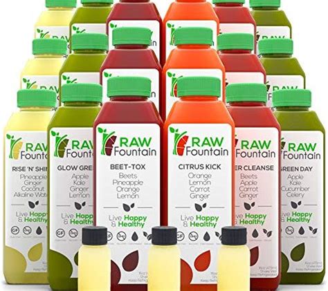 Raw Fountain 3 Day Juice Cleanse All Natural Raw Cold Pressed Fruit