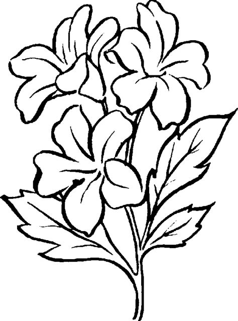 Free Clip Art Flowers Black And White Cliparts Co