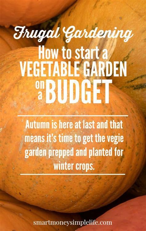 Frugal Gardening How To Start A Vegetable Garden On A Budget An