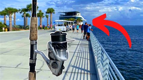 Fishing The New Stpete Pier Variety Of Fish Youtube