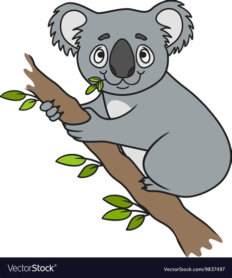 Cartoon Koala Royalty Free Vector Image Vectorstock