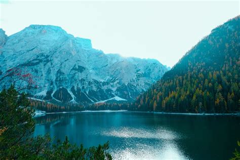 Lake In The Middle Of Snowy And Tree Covered Mountains Stock Image