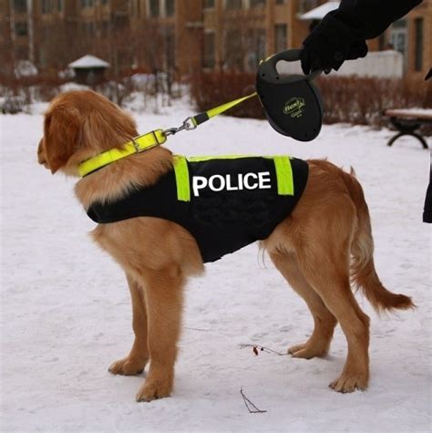 Hi Vis Police Vest For Dogs