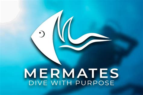 Mermates Diving Club Jeddah Saudi Arabia Address Phone Number Tripadvisor