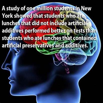 Brain Facts Human Amazing Interesting Brains Know