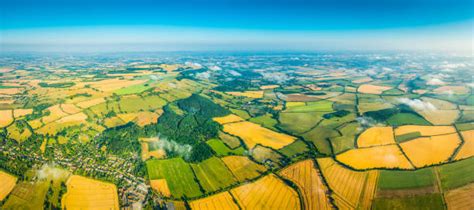 Corn Field From Above Stock Photos Pictures And Royalty Free Images Istock