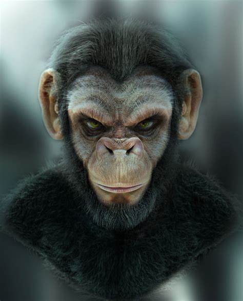 Ape Revolution By Pablo Del Molino Spain Apes Chimp Ape Monkey