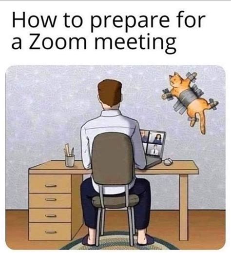 Funny Zoom Meeting Pictures Simpleose