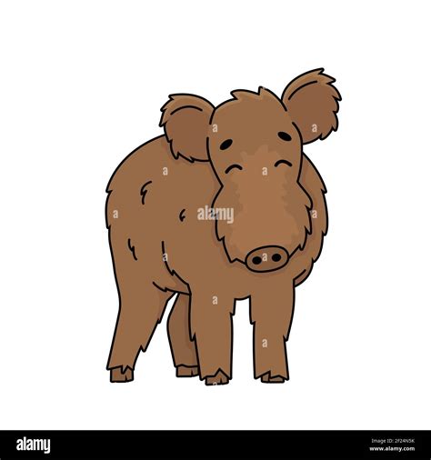 Brown Cute Fluffy Vector Outline Cartoon Boar Male Wild Pig Doodle