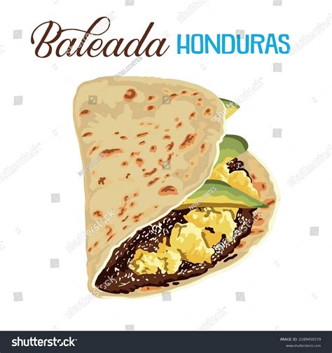 Traditional Baleada Most Famous Honduran Dishes Stock Vector Royalty