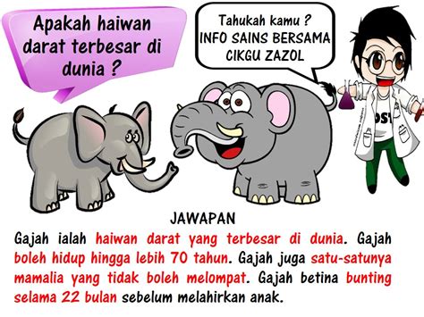 Tugasan ini dilaksanakan bagi membincangkan tentang strategi pengajaran danpembelajaran sains sekolah rendah. ZAZOLNIZAM BIN ZAKARIA: Info Sains SEkolah Rendah