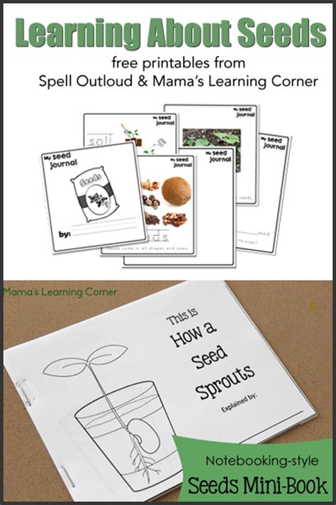 Free Studying Seeds Unit with Printable Mini-Book, Seed Chart, and