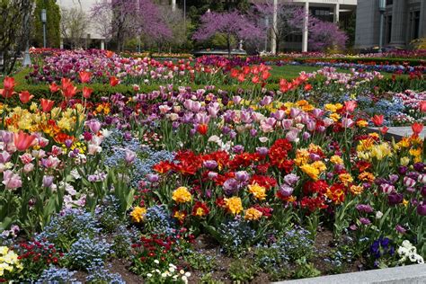 Send roses, carnations, lilies for all occasions like birthdays, anniversaries, funerals. AMEdetails: Salt Lake Flowers