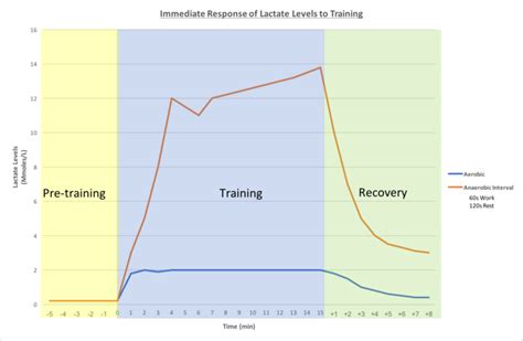 Lactate Levels Hsc Pdhpe