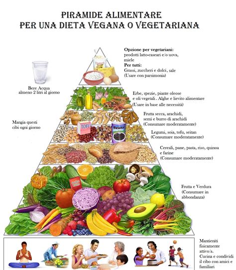Cuore Di Basilico Piramide Alimentare E Il Piatto Veg