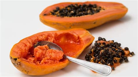 3 Tips Para Cultivar Papaya En Casa Que Debes Saber Mui Kitchen Noticias