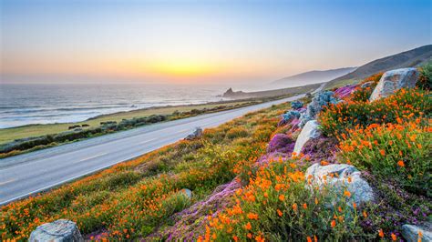 The Best Time To Visit Big Sur Lonely Planet