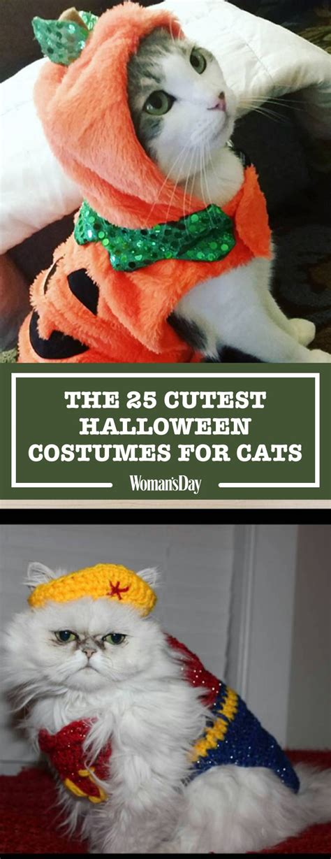 30 Pet Cat Halloween Costumes 2017 Cute Ideas For Cat