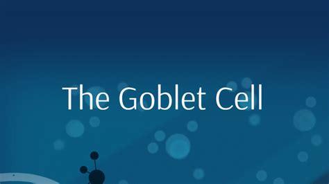 The Goblet Cell By Sophie Bourgoin
