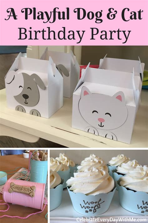 Drive to the best fish. A Playful Dog and Cat Birthday Party | Celebrate Every Day ...