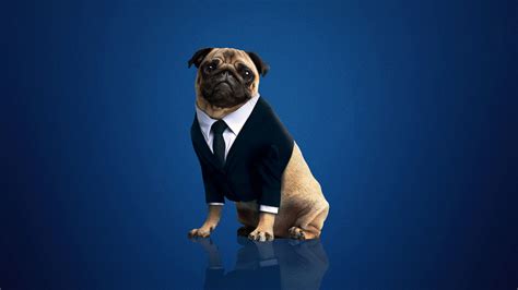 1920x1080 Frank The Pug Men In Black International 2019 Laptop Full Hd