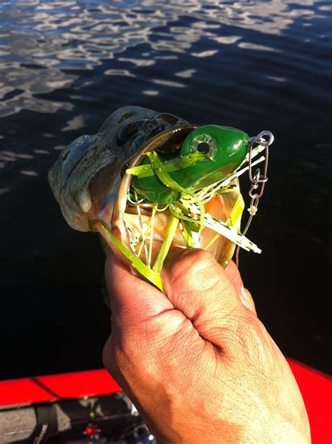 Frog Fishing For Bass Is Hard To Beat Gotta Love When They Blast Up On