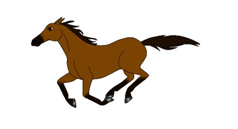 Animated Horse Photos Horse Animated  Bodenswasuee