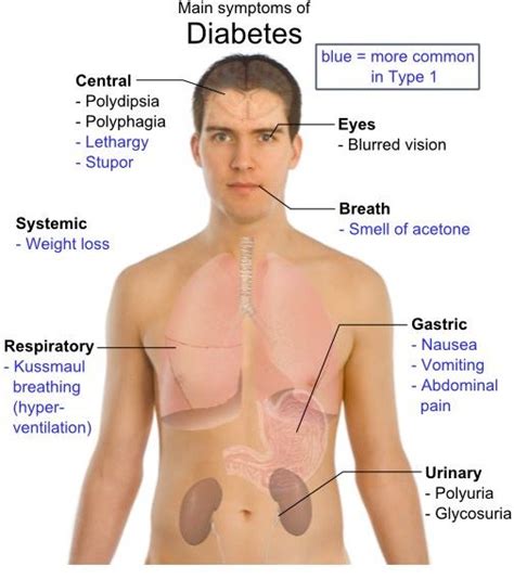 Diabetic Sugar Levels What They Mean And When You Should Be Concerned Health Guide Info